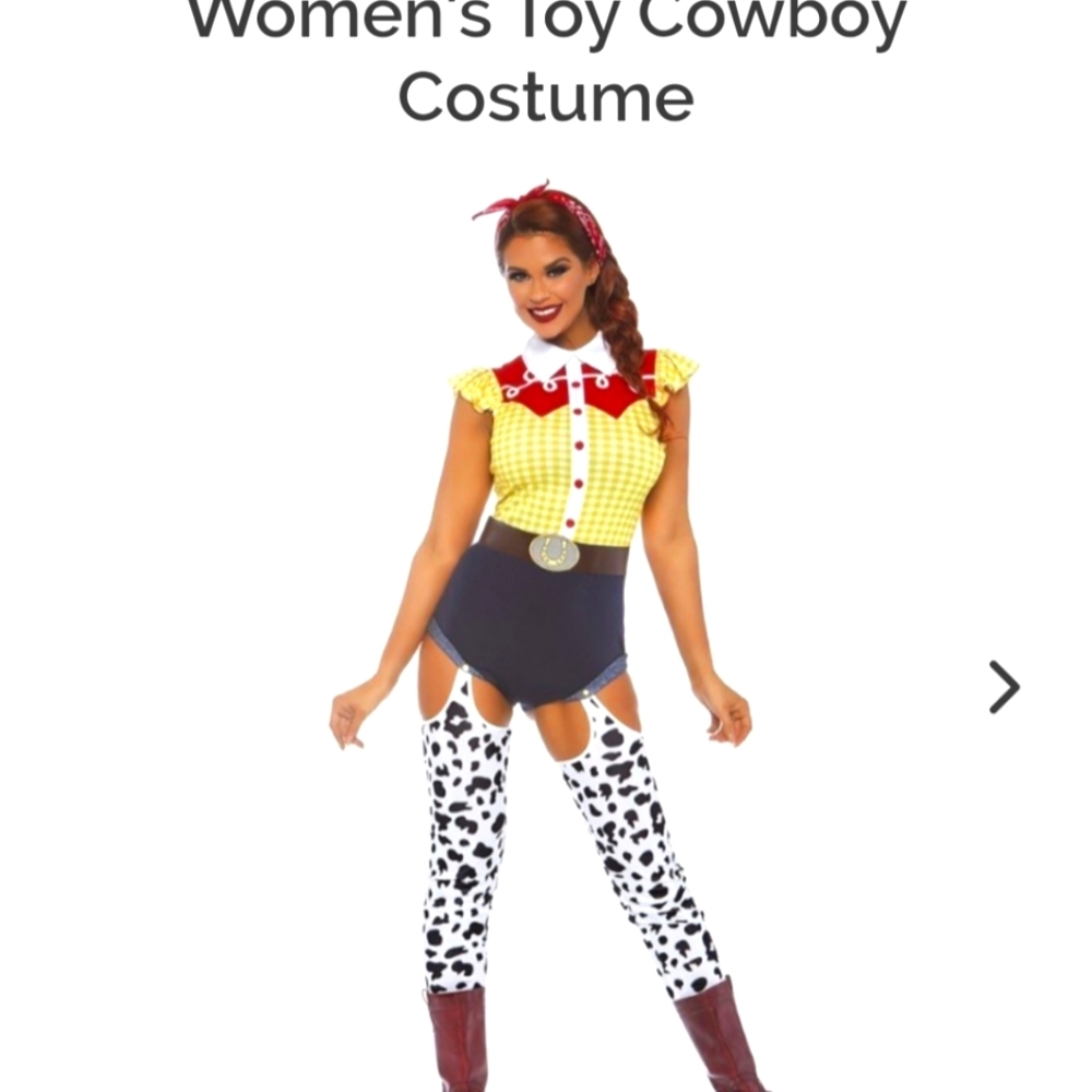 Sexy Jessy/Cowgirl costume